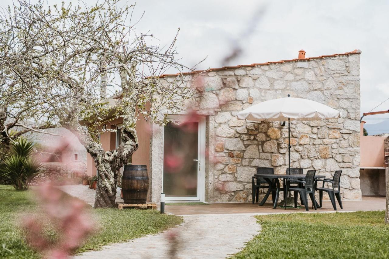 Forno House - Ameixoeira Vila Praia de Âncora Zewnętrze zdjęcie